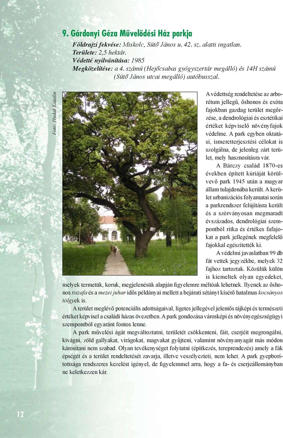 Fotó: Hudák Katalin A védettség rendeltetése az arborétum jellegű, őshonos és exóta fajokban gazdag terület megőrzése, a dendrológiai és esztétikai értéket képviselő növényfajok védelme.