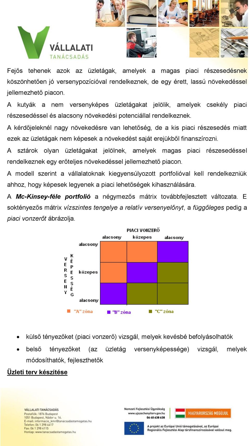 A kérdőjeleknél nagy növekedésre van lehetőség, de a kis piaci részesedés miatt ezek az üzletágak nem képesek a növekedést saját erejükből finanszírozni.