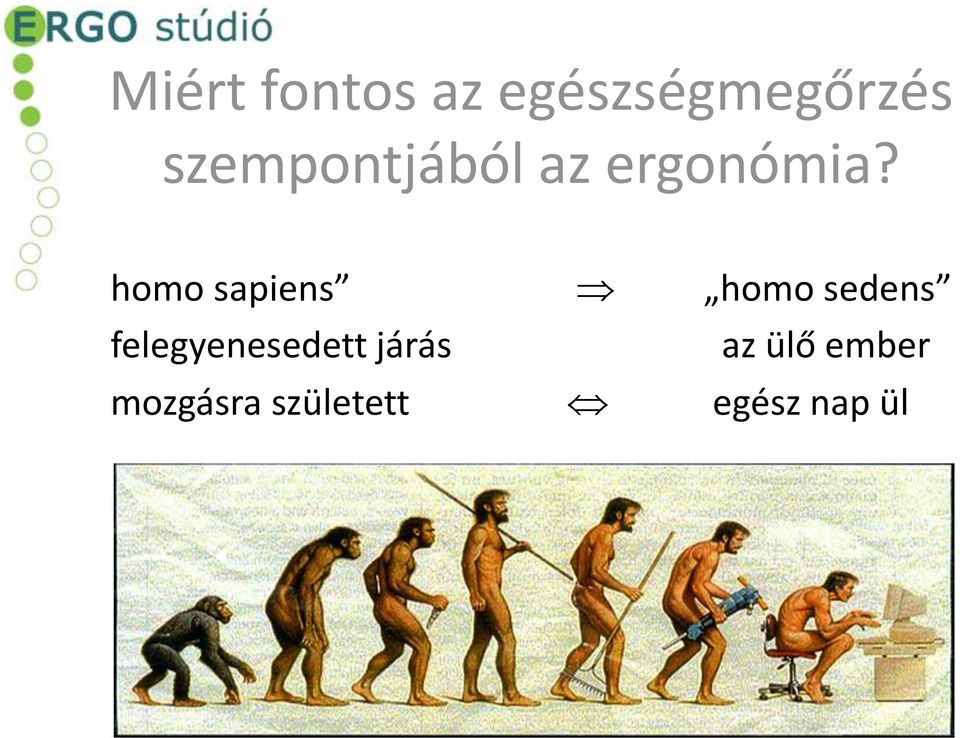 homo sapiens homo sedens
