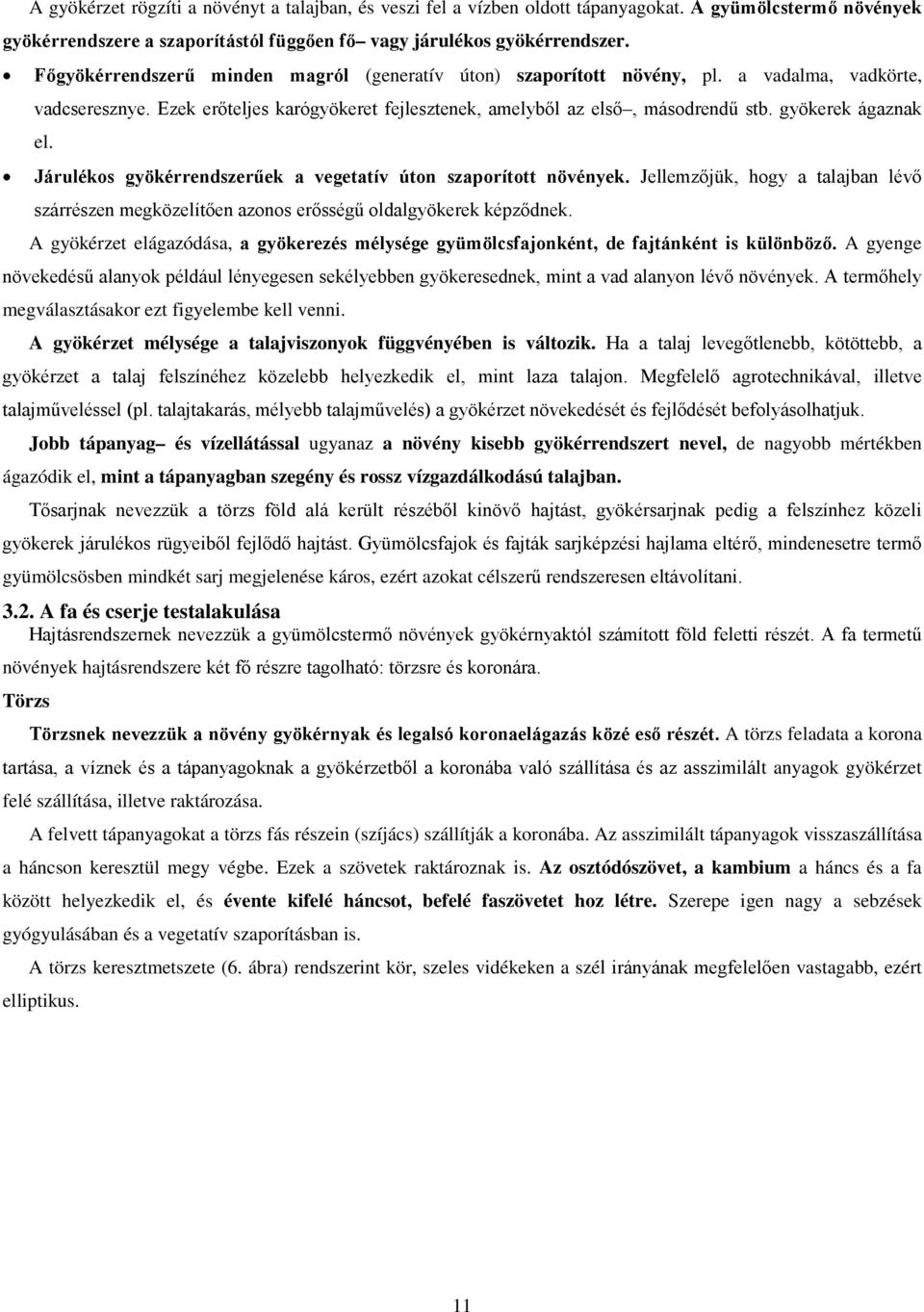 gyökerek ágaznak el. Járulékos gyökérrendszerűek a vegetatív úton szaporított növények. Jellemzőjük, hogy a talajban lévő szárrészen megközelítően azonos erősségű oldalgyökerek képződnek.