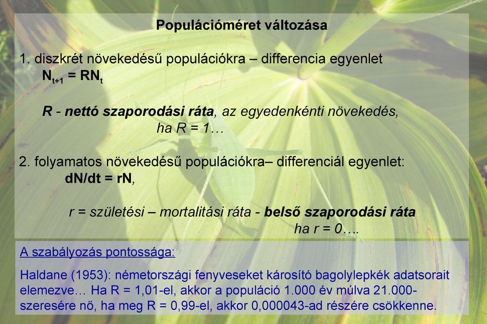 folyamatos növekedésű populációkra differenciál egyenlet: dn/dt = rn, r = születési mortalitási ráta - belső szaporodási ráta ha r =