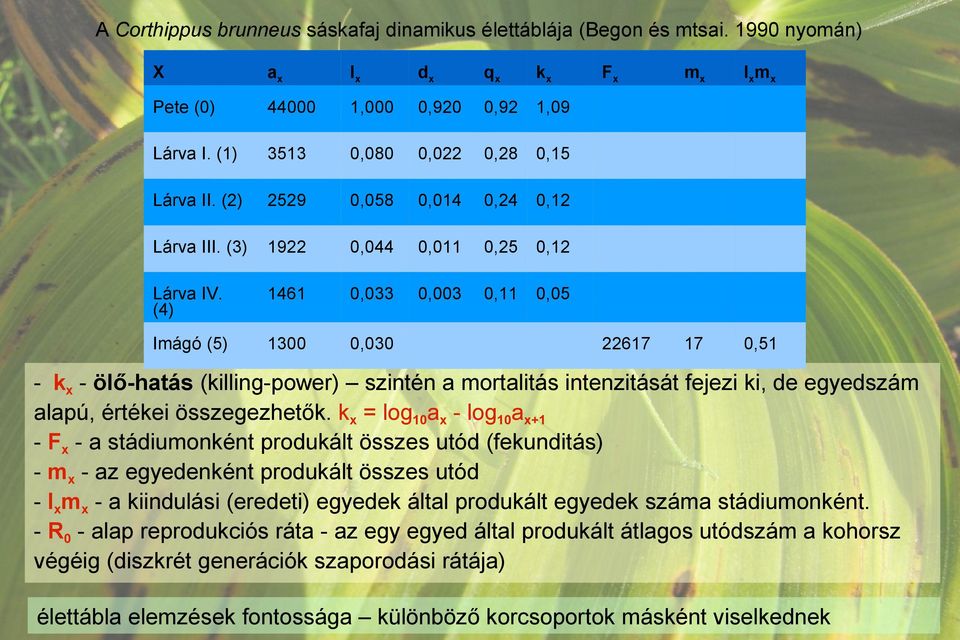 (4) 1461 0,033 0,003 0,11 0,05 Imágó (5) 1300 0,030 Fx mx lx m x 22617 17 0,51 - kx - ölő-hatás (killing-power) szintén a mortalitás intenzitását fejezi ki, de egyedszám alapú, értékei összegezhetők.