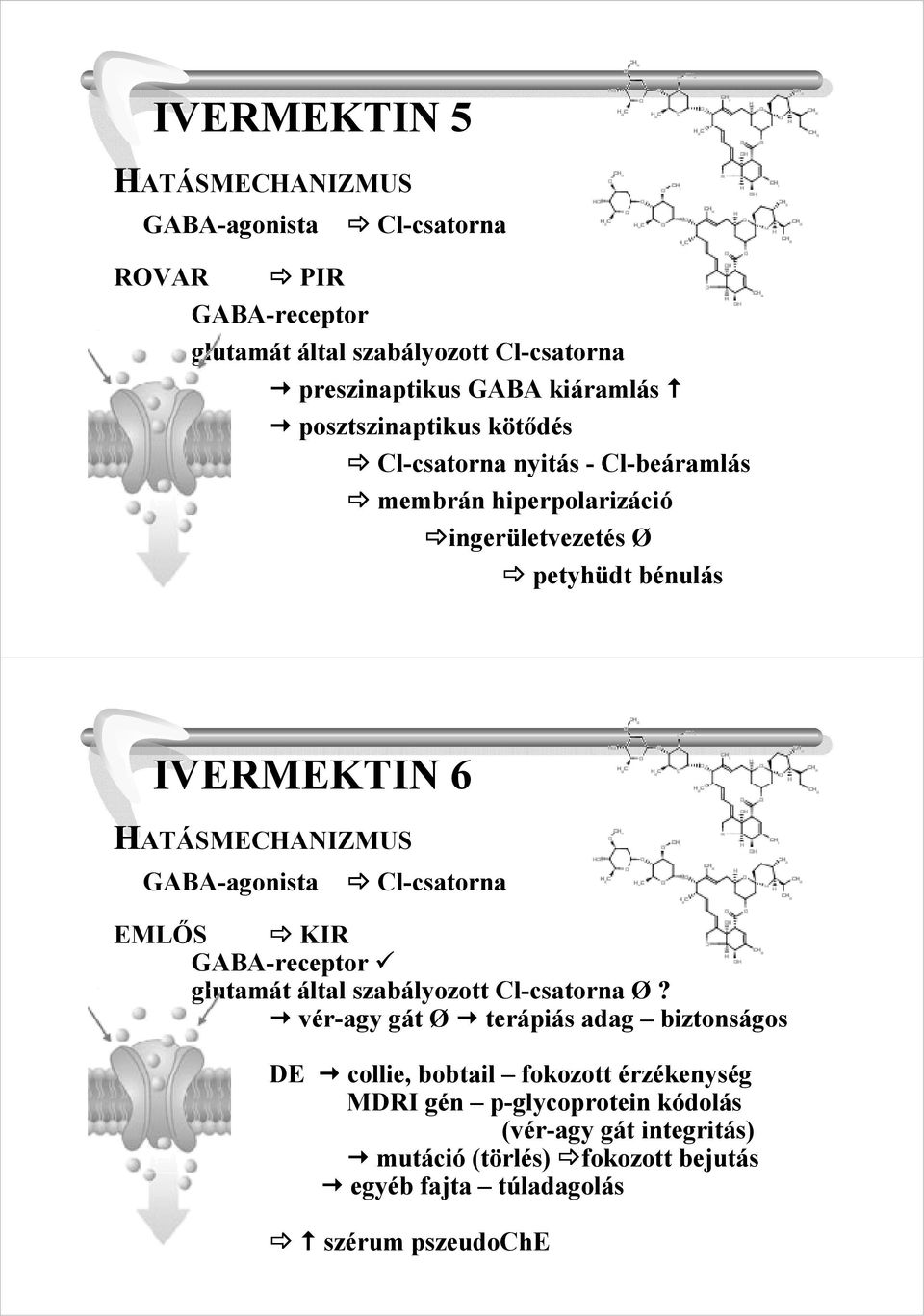 GABA-agonista Cl-csatorna EMLİS KIR GABA-receptor glutamát által szabályozott Cl-csatorna Ø?