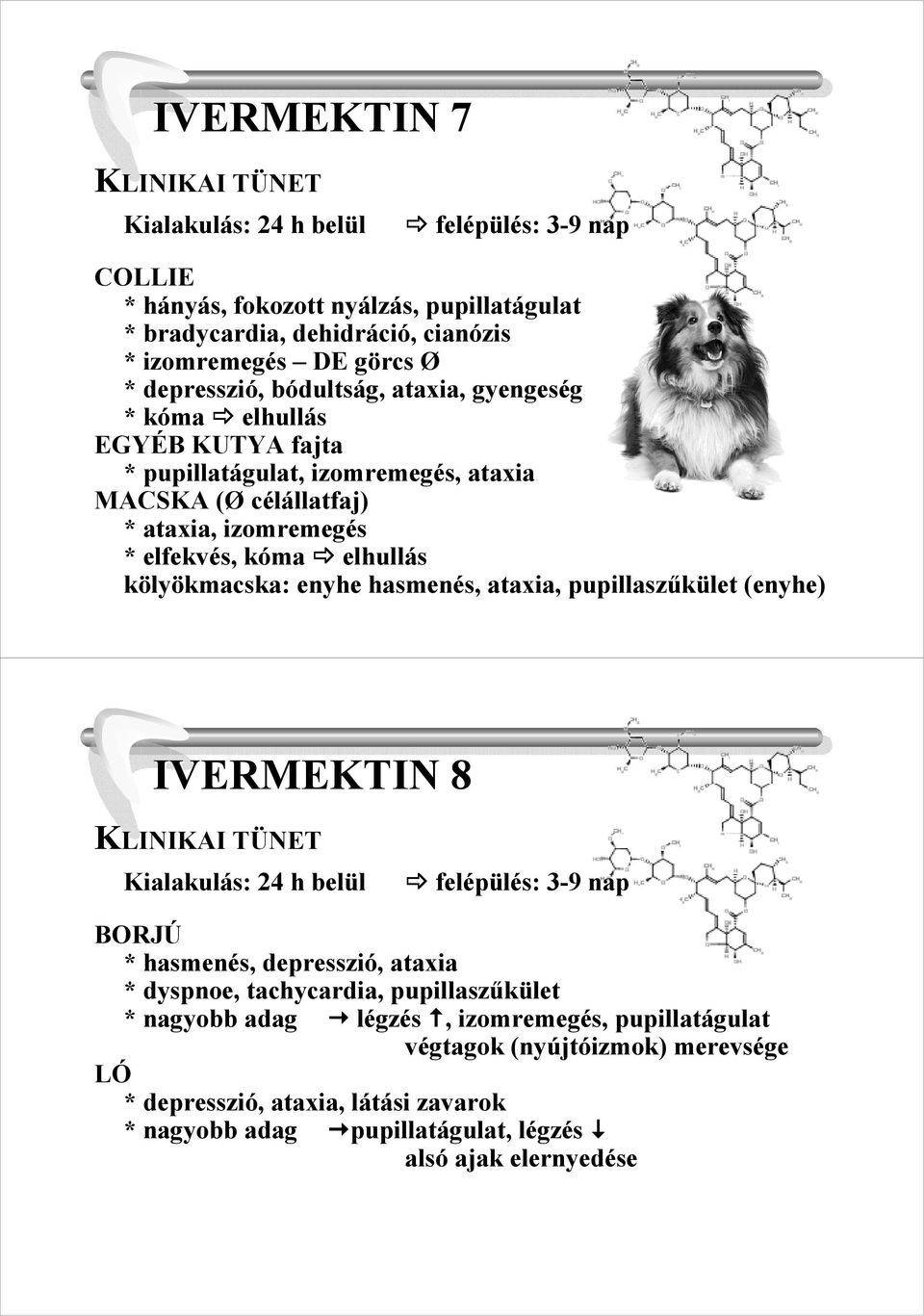 kölyökmacska: enyhe hasmenés, ataxia, pupillaszőkület (enyhe) IVERMEKTIN 8 KLINIKAI TÜNET Kialakulás: 24 h belül felépülés: 3-9 nap BORJÚ * hasmenés, depresszió, ataxia * dyspnoe,