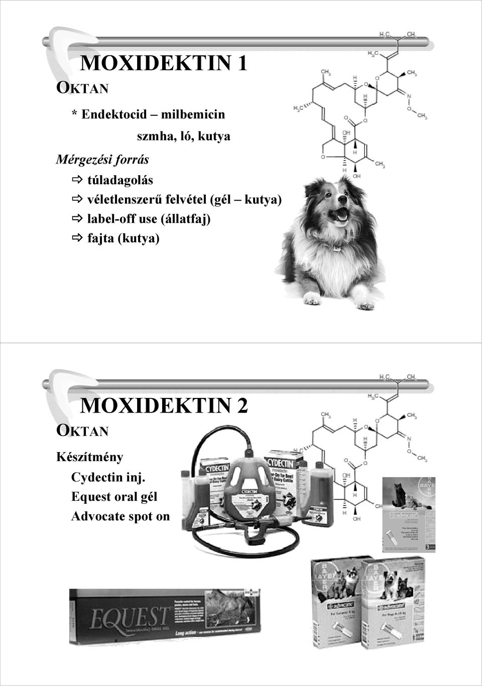 kutya) label-off use (állatfaj) fajta (kutya) MOXIDEKTIN 2