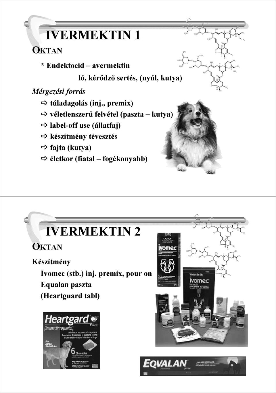 , premix) véletlenszerő felvétel (paszta kutya) label-off use (állatfaj) készítmény