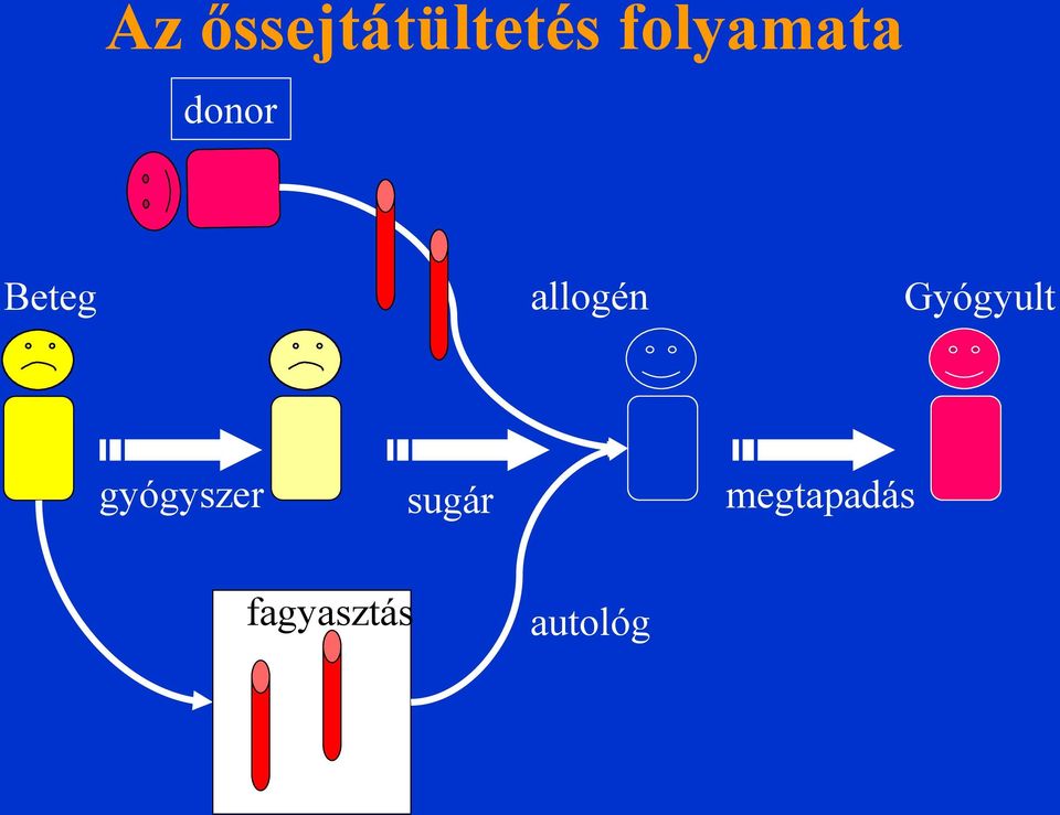 allogén Gyógyult