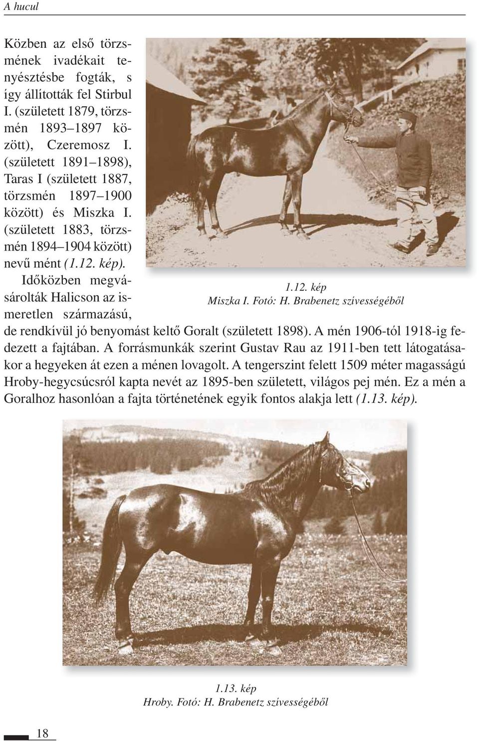 Idôközben meg vásá rol ták Hali cson az ismeretlen szár ma zású, 1.12. kép Miszka I. Fotó: H. Brabenetz szívességébôl de rendkívül jó benyomást keltô Goralt (született 1898).