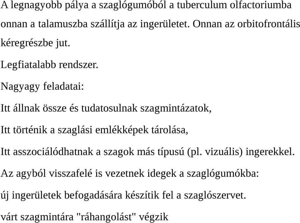 Nagyagy feladatai: Itt állnak össze és tudatosulnak szagmintázatok, Itt történik a szaglási emlékképek tárolása, Itt