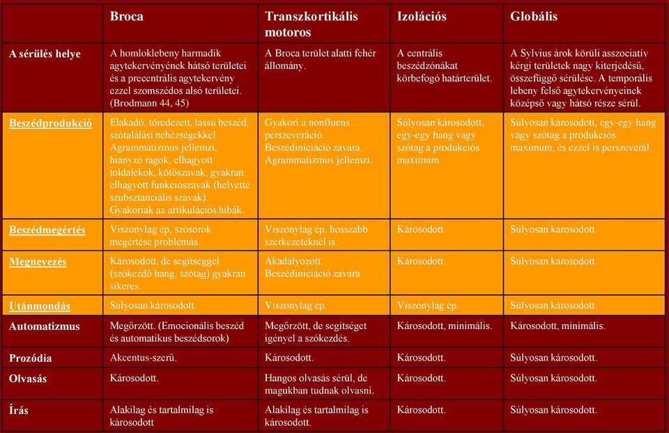 Agrammatizmus jellemzi, hiányzó ragok, elhagyott toldalékok, kötőszavak, gyakran elhagyott funkciószavak (helyette szubsztanciális szavak). Gyakoriak az artikulációs hibák.