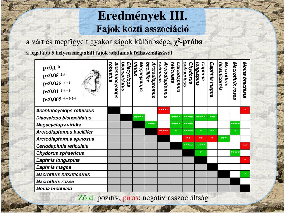 Acanthocyclops robustus Daphnia longispina Chydorus sphaericus Ceriodaphnia reticulata Arctodiaptomus spinosus Arctodiaptomus bacillifer Megacyclops viridis Diacyclops bicuspidatus Daphnia magna