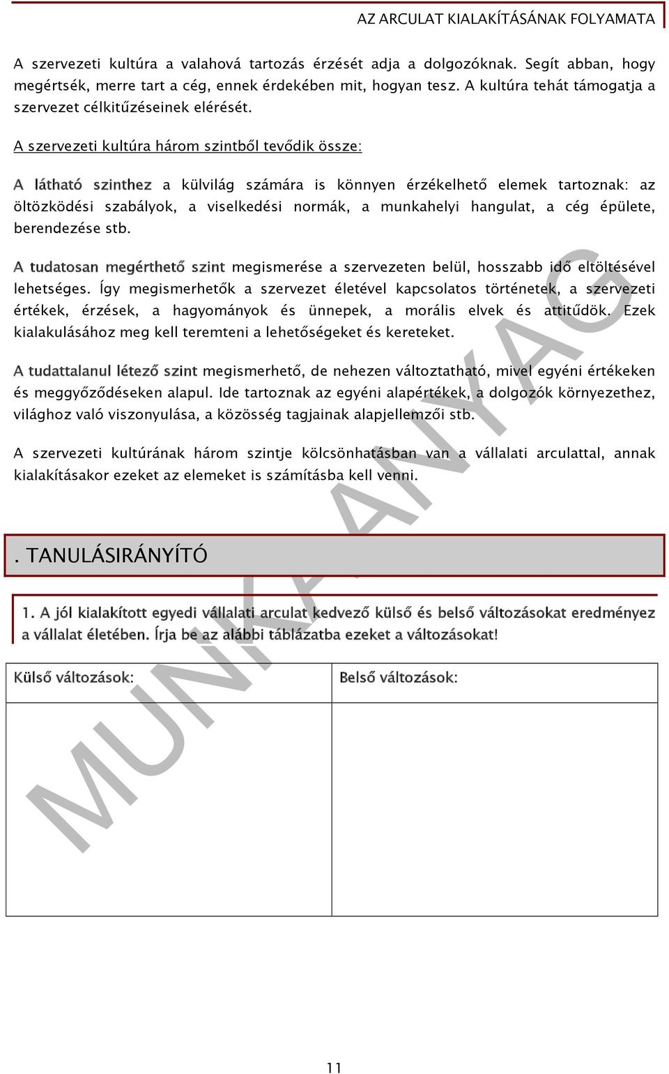 A szervezeti kultúra három szintből tevődik össze: A látható szinthez a külvilág számára is könnyen érzékelhető elemek tartoznak: az öltözködési szabályok, a viselkedési normák, a munkahelyi