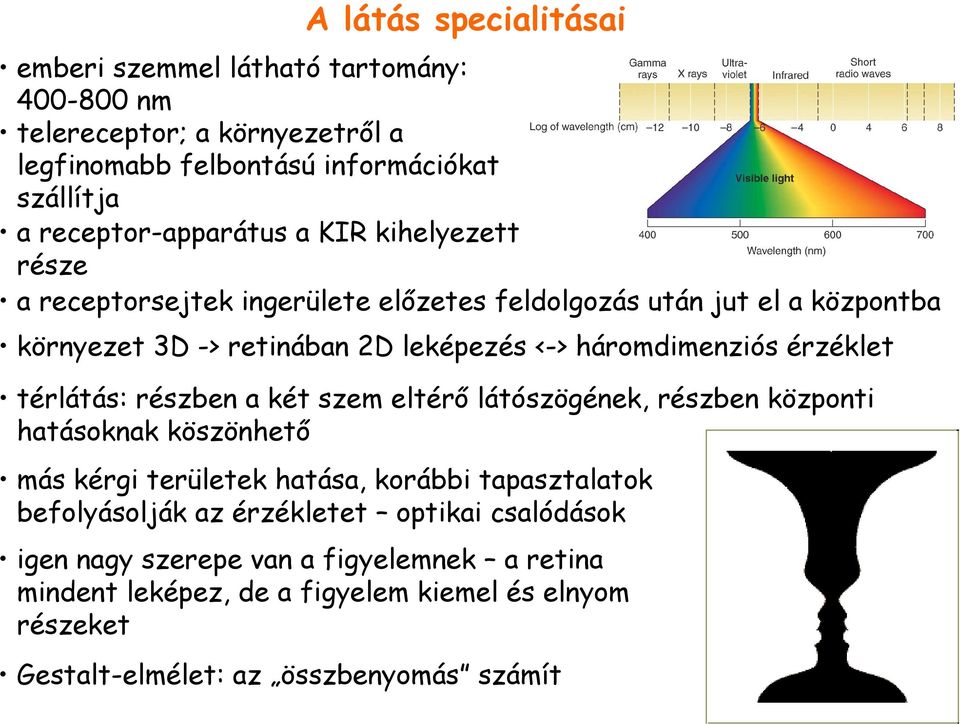 háromdimenziós érzéklet térlátás: részben a két szem eltérı látószögének, részben központi hatásoknak köszönhetı más kérgi területek hatása, korábbi tapasztalatok