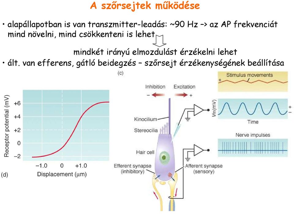 mind csökkenteni is lehet mindkét irányú elmozdulást