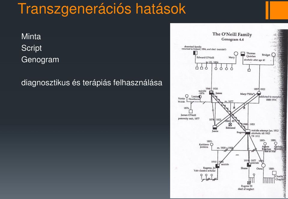 Genogram