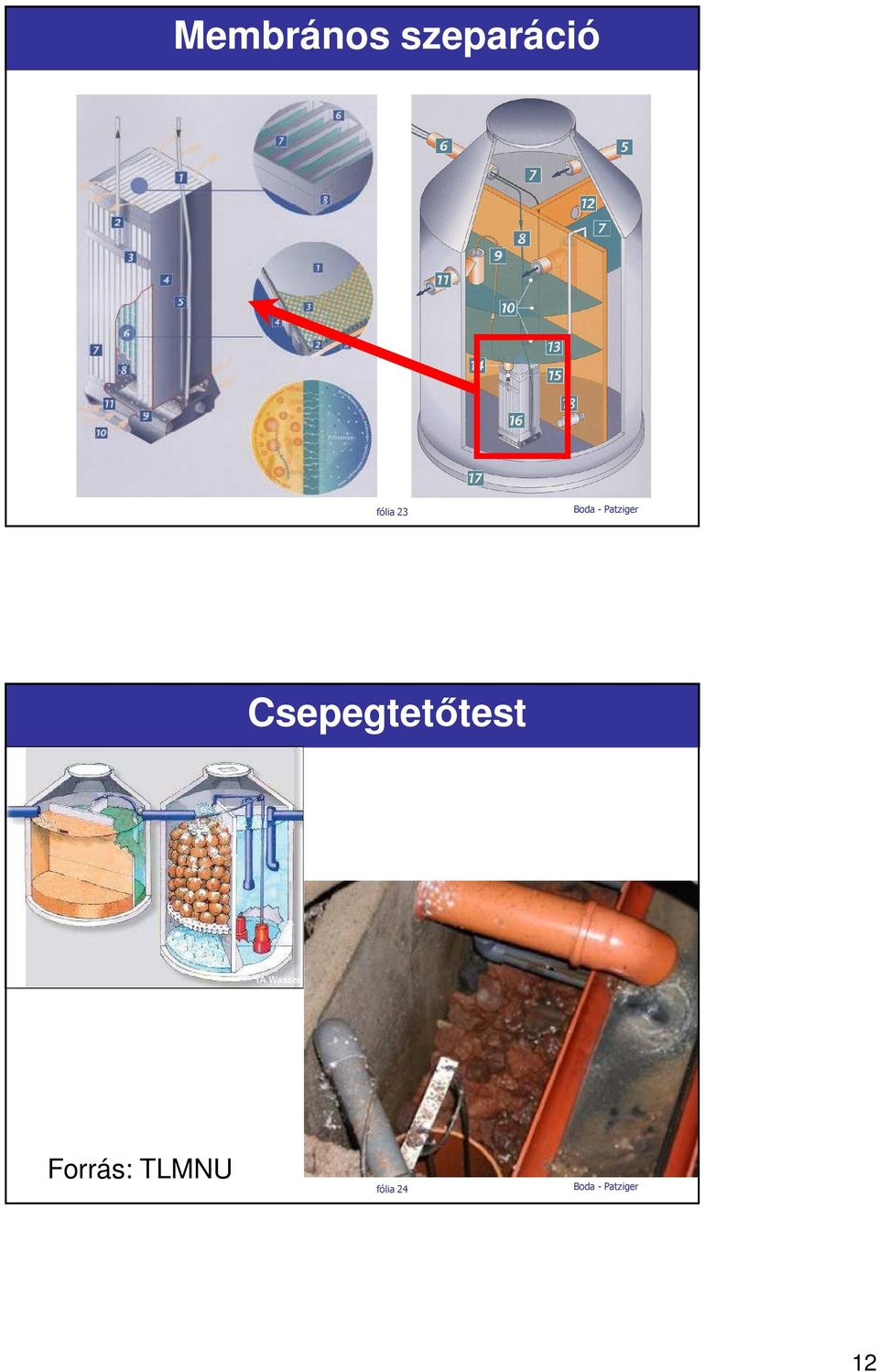 23 Csepegtetıtest