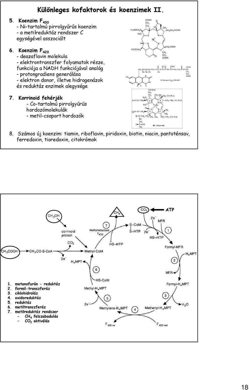 reduktáz enzimek alegysége 7. Korrinoid fehérjék - Co-tartalmú pirrolgyűrűs hordozómolekulák - metil-csoport hordozók 8.