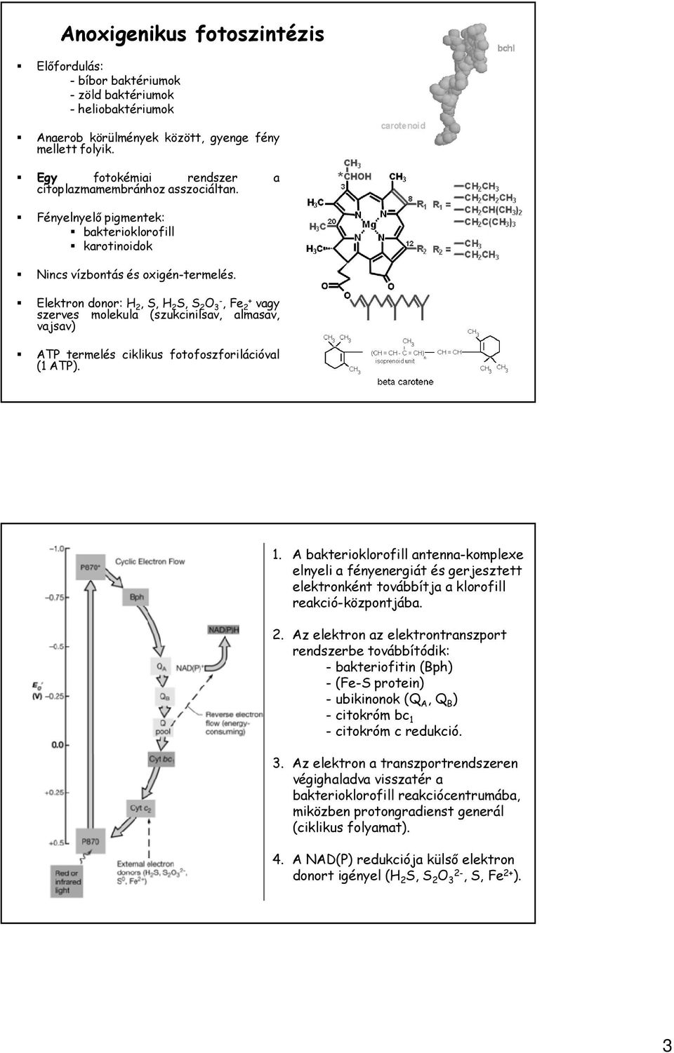 Elektron donor: H 2, S, H 2 S, S 2 O 3-, Fe 2+ vagy szerves molekula (szukcinilsav, almasav, vajsav) ATP termelés ciklikus fotofoszforilációval (1 ATP). 1.