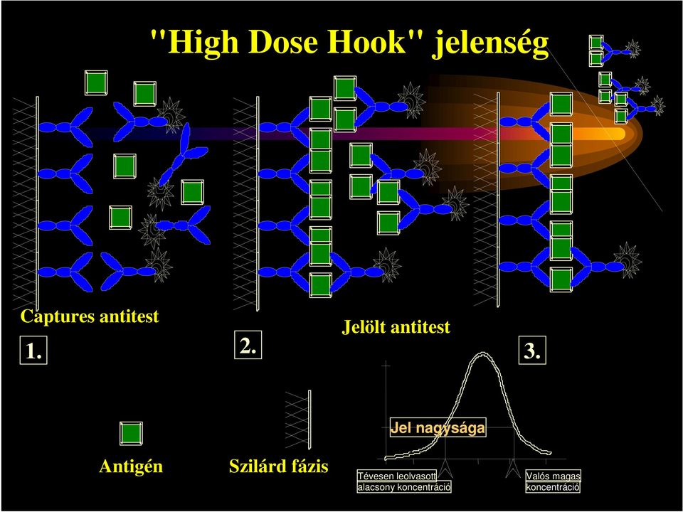 Jel nagysága Antigén Szilárd fázis Tévesen