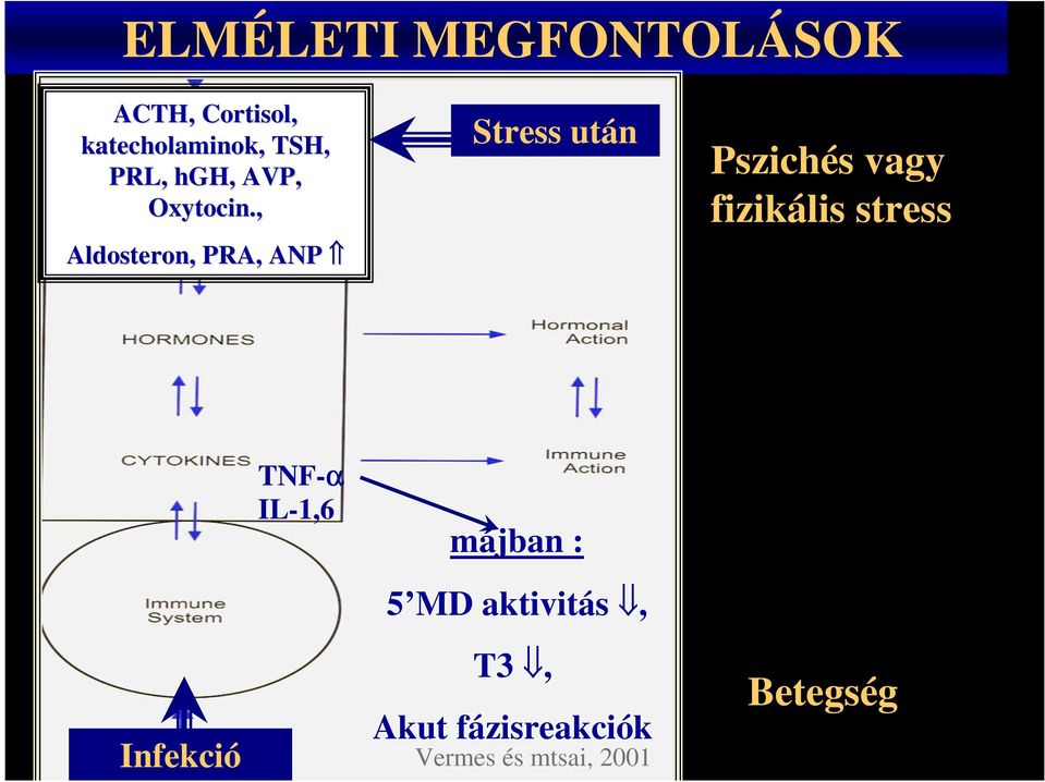 , Aldosteron,, PRA, ANP Stress után Pszichés vagy fizikális