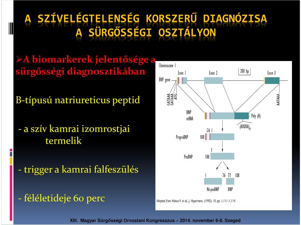 diagnosztikában B-típusú natriureticus peptid -a szív