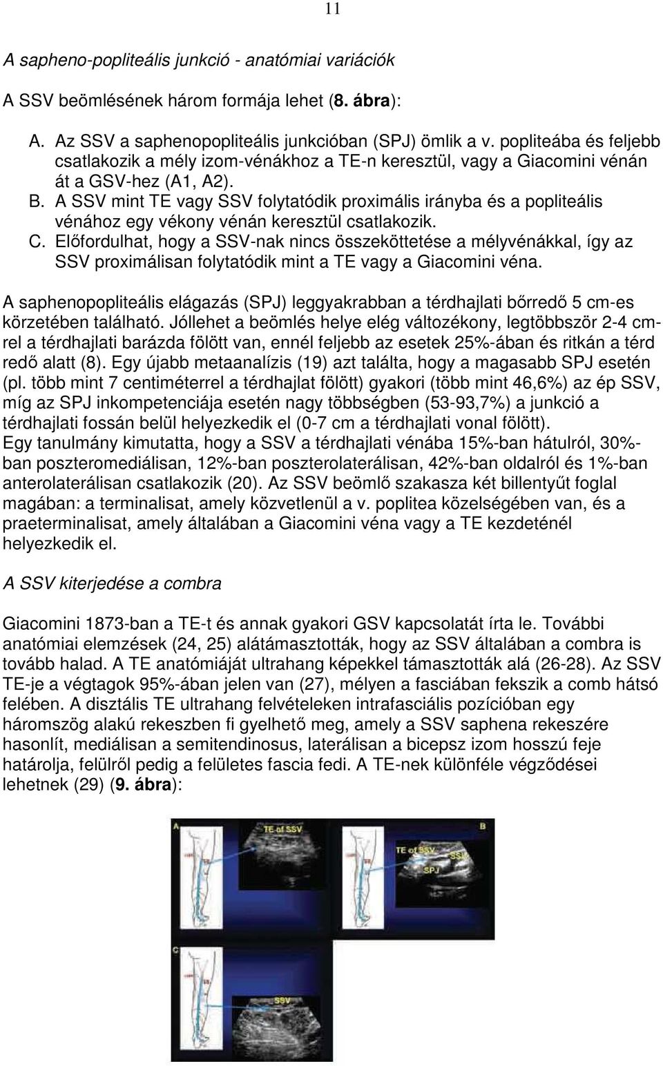 A SSV mint TE vagy SSV folytatódik proximális irányba és a popliteális vénához egy vékony vénán keresztül csatlakozik. C.