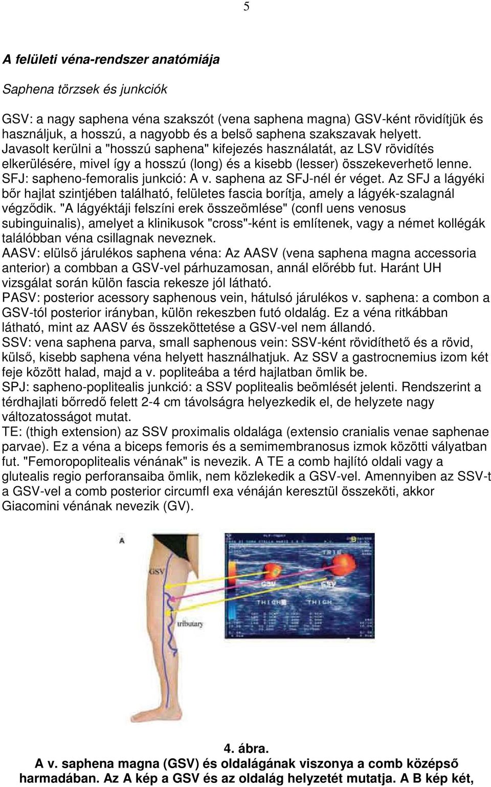 SFJ: sapheno-femoralis junkció: A v. saphena az SFJ-nél ér véget. Az SFJ a lágyéki bır hajlat szintjében található, felületes fascia borítja, amely a lágyék-szalagnál végzıdik.