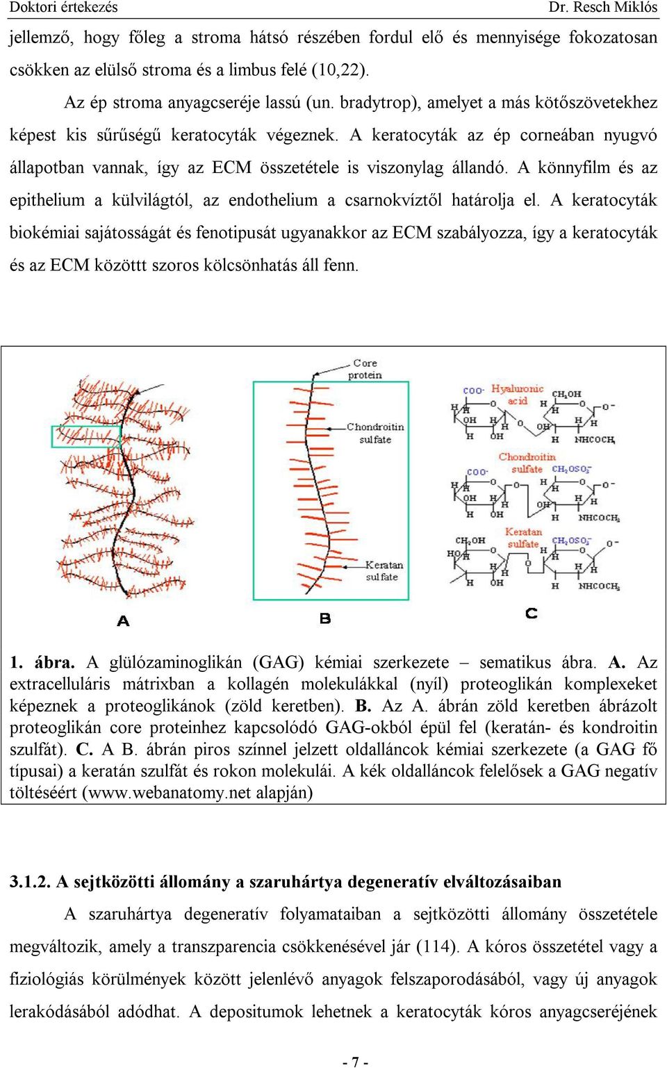 A könnyfilm és az epithelium a külvilágtól, az endothelium a csarnokvíztől határolja el.