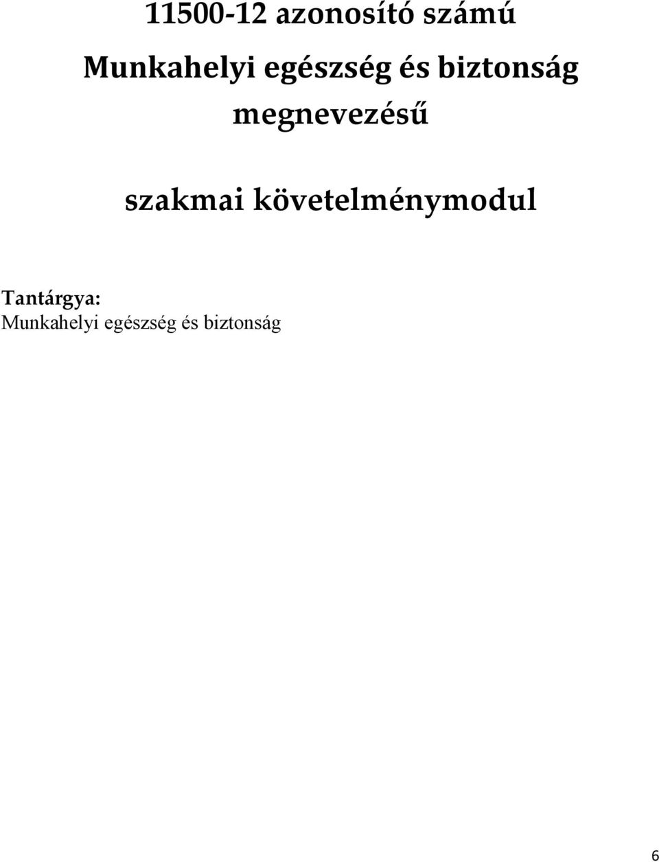 megnevezésű szakmai