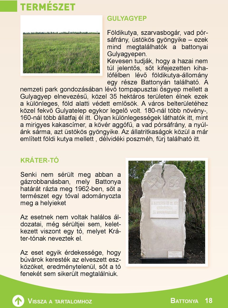 A nemzeti park gondozásában lévő tompapusztai ősgyep mellett a Gulyagyep elnevezésű, közel 35 hektáros területen élnek ezek a különleges, föld alatti védett emlősök.