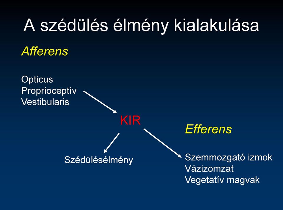 Vestibularis KIR Efferens