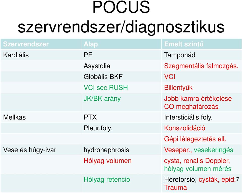 VCI Billentyűk Jobb kamra értékelése CO meghatározás Mellkas PTX Intersticiális foly.