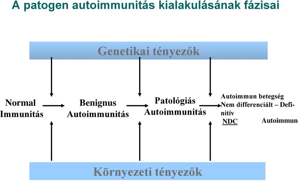 Autoimmunitás Patológiás Autoimmunitás Autoimmun