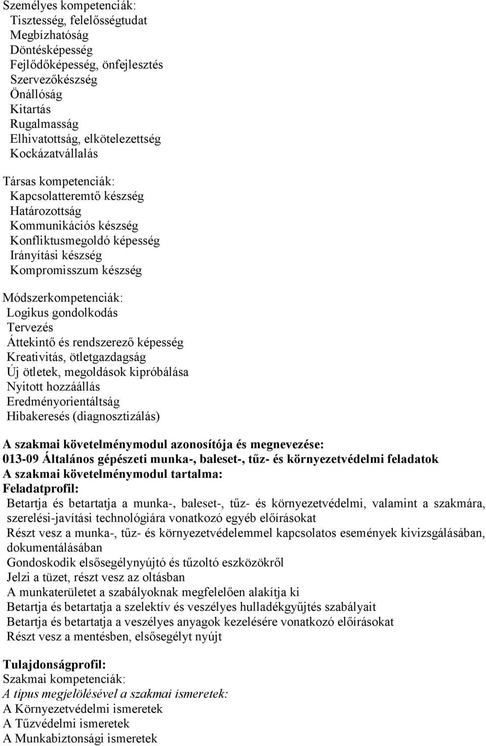 gondolkodás Tervezés Áttekintő és rendszerező képesség Kreativitás, ötletgazdagság Új ötletek, megoldások kipróbálása Nyitott hozzáállás Eredményorientáltság Hibakeresés (diagnosztizálás) A szakmai