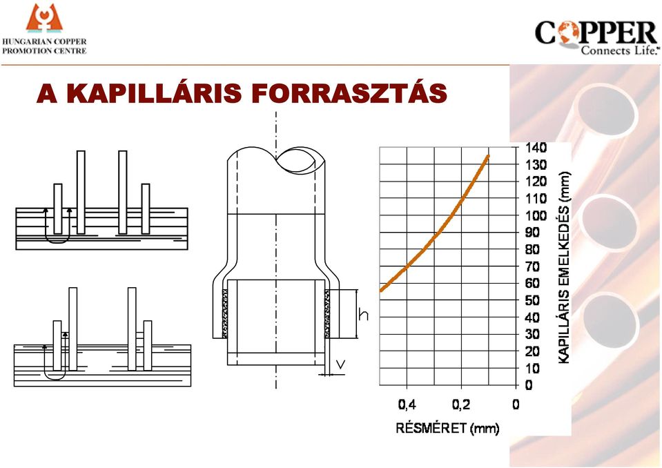 FORRSZTÁS