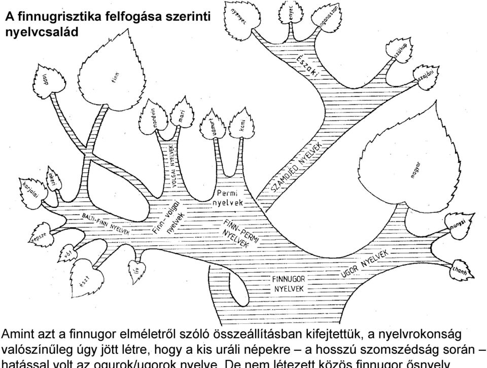 elméletről szóló összeállításban kifejtettük, a nyelvrokonság