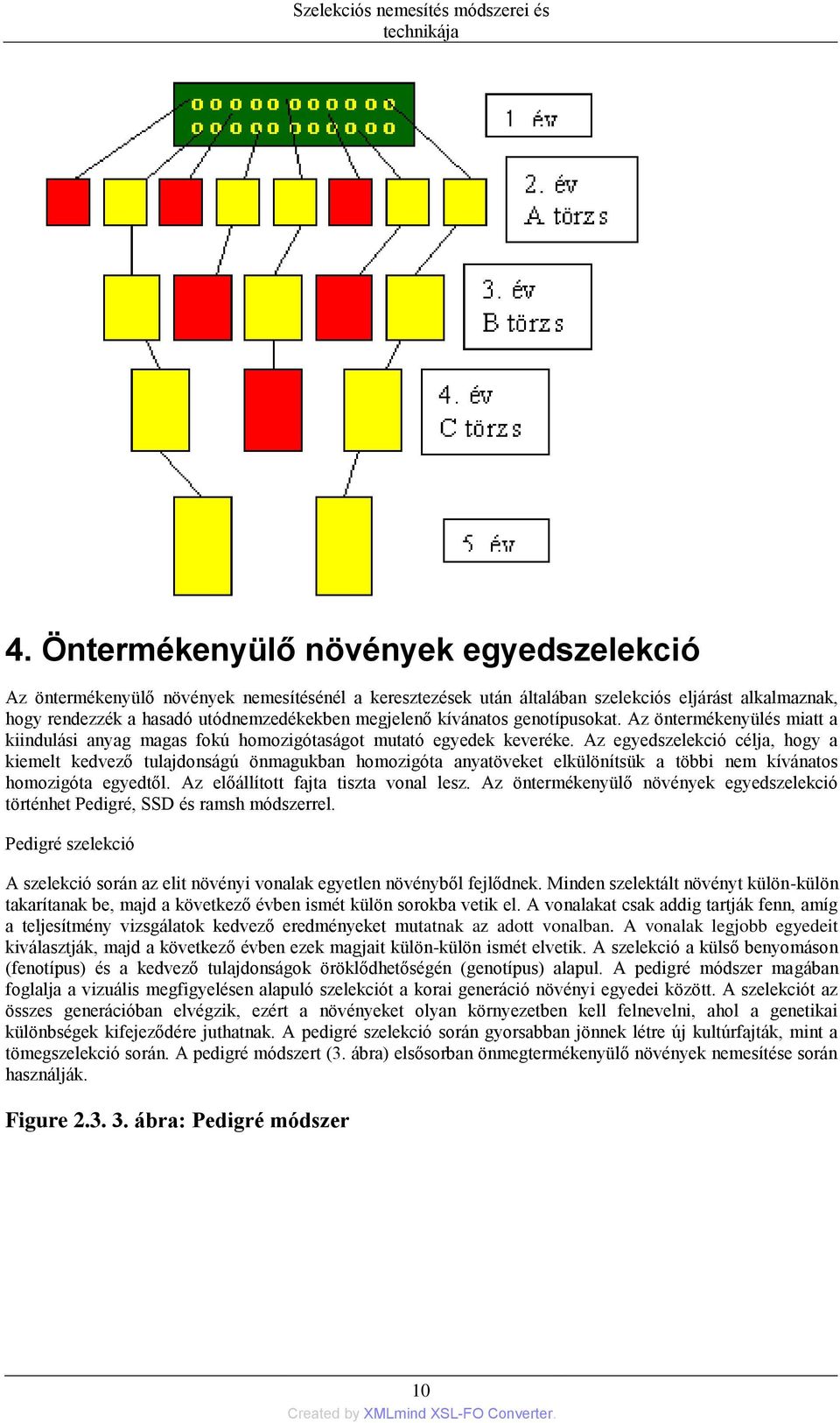 kívánatos genotípusokat. Az öntermékenyülés miatt a kiindulási anyag magas fokú homozigótaságot mutató egyedek keveréke.