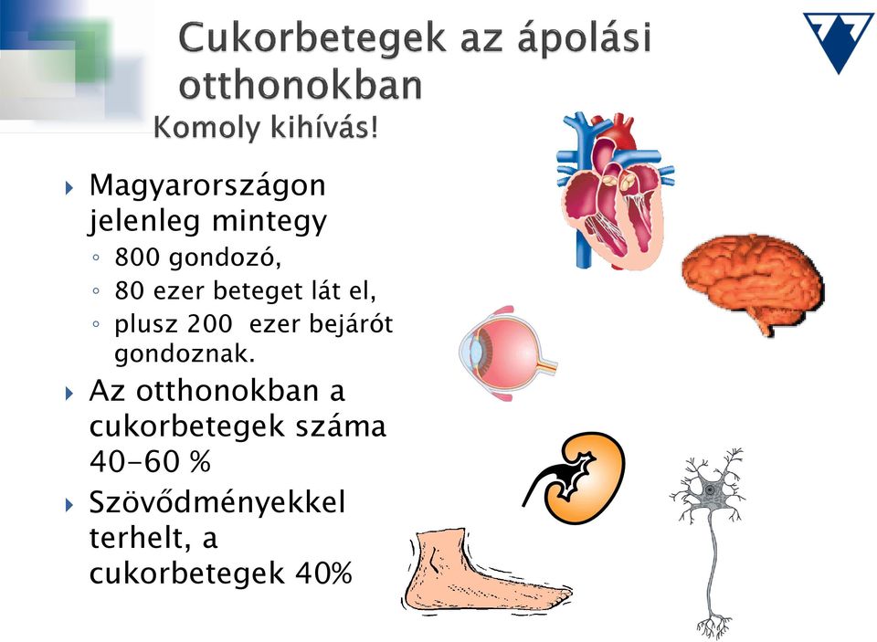 Az otthonokban a cukorbetegek száma 40-60 % Szövődményekkel