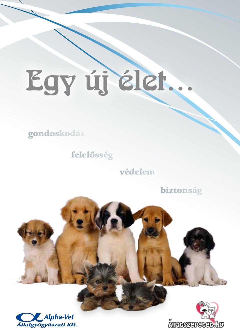 felelősség