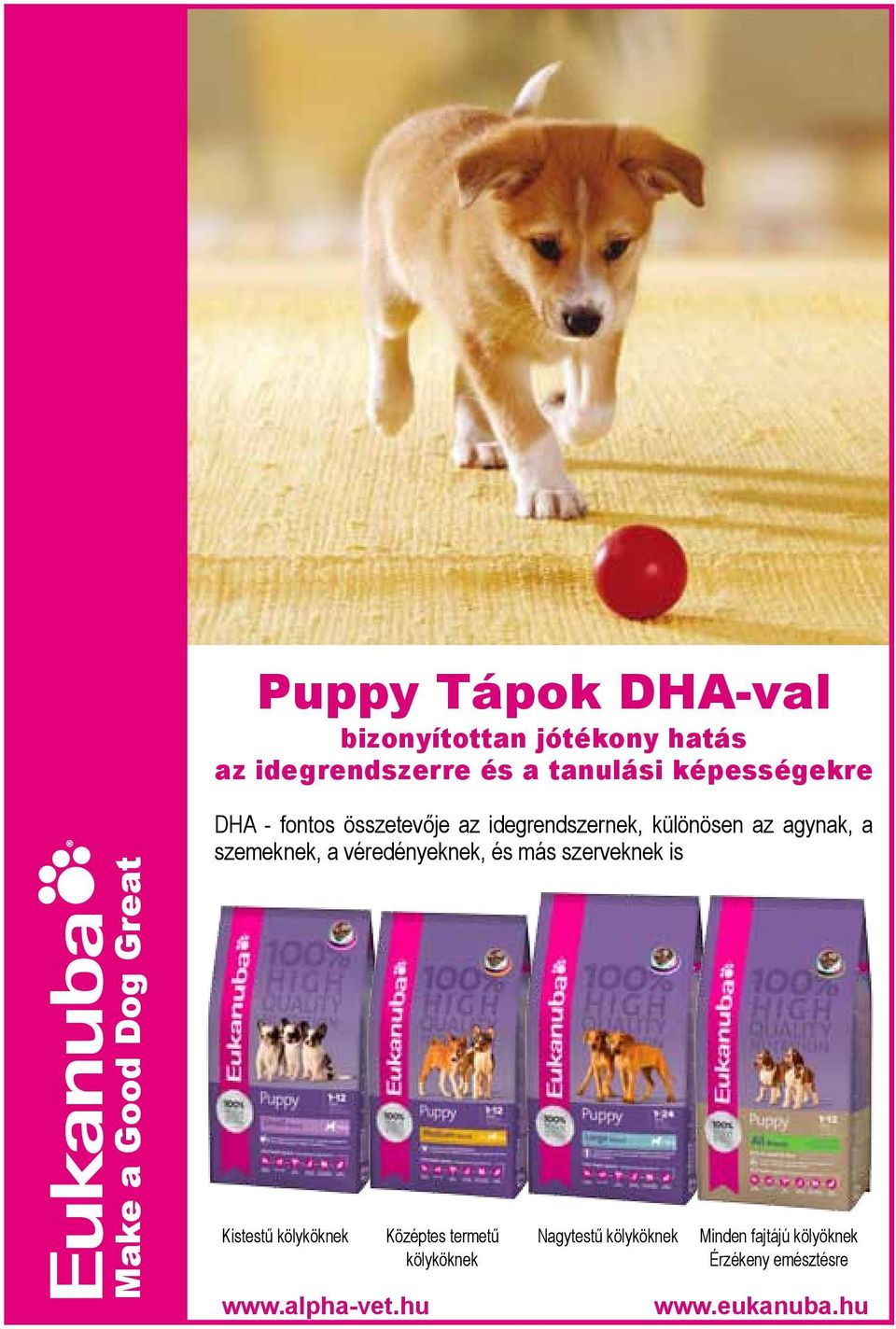 szemeknek, a véredényeknek, és más szerveknek is Kistestű kölyköknek www.alpha-vet.