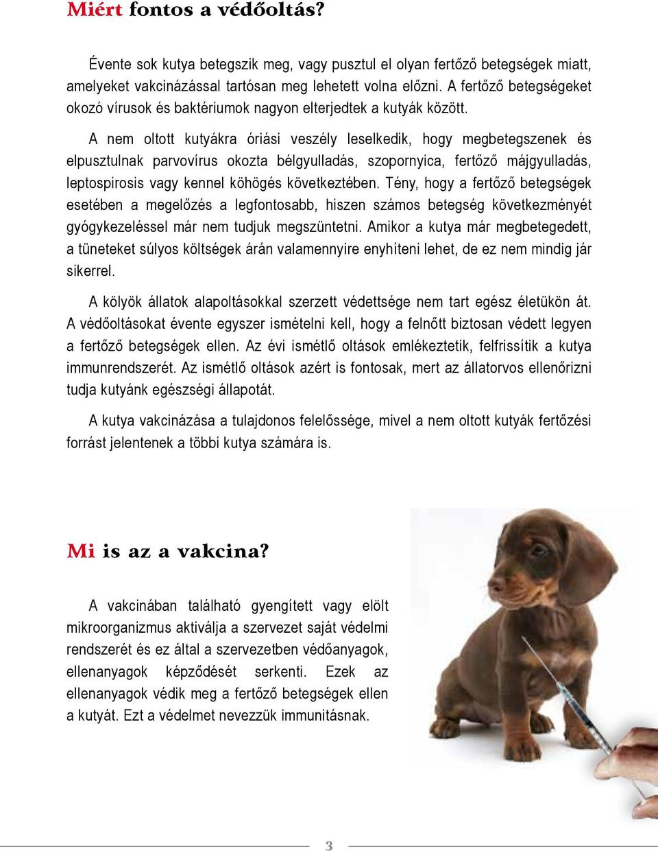A nem oltott kutyákra óriási veszély leselkedik, hogy megbetegszenek és elpusztulnak parvovírus okozta bélgyulladás, szopornyica, fertőző májgyulladás, leptospirosis vagy kennel köhögés következtében.