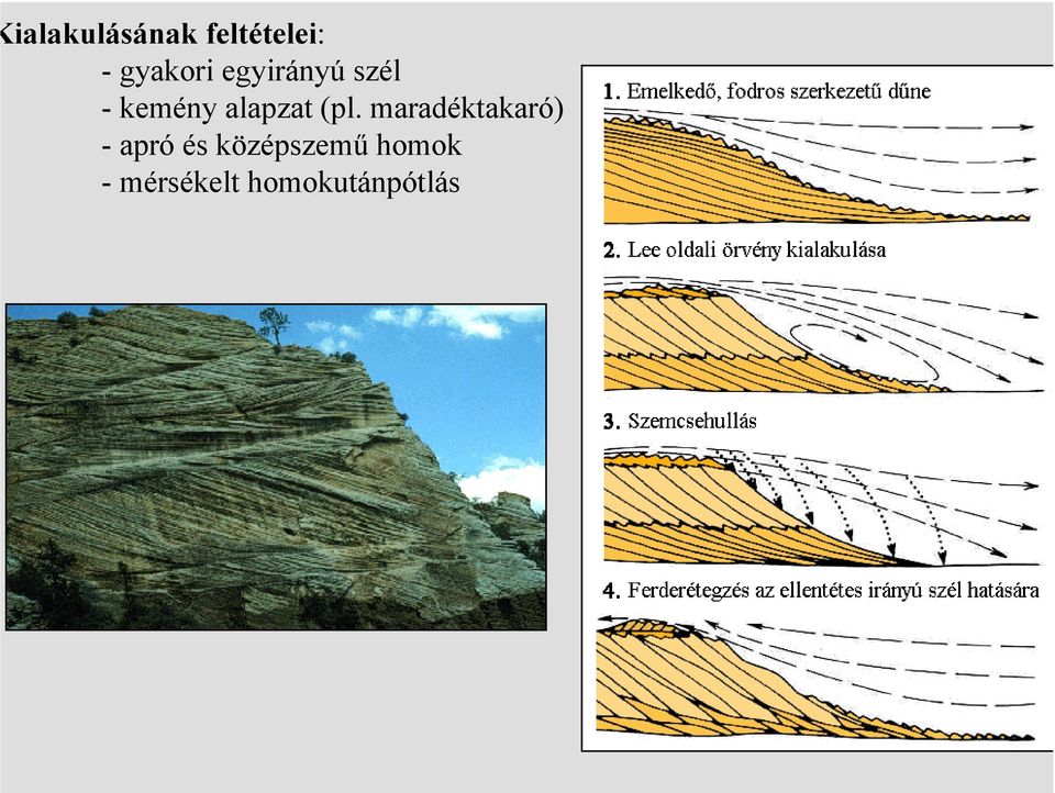 maradéktakaró) - apró és középszemű