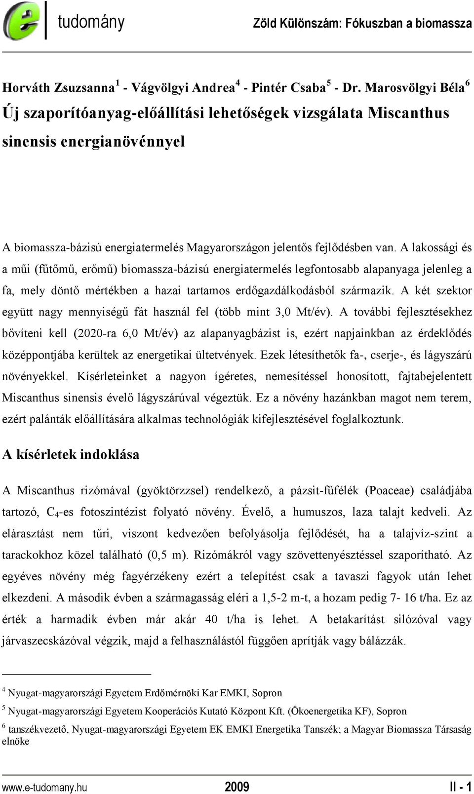 A lakossági és a műi (fűtőmű, erőmű) biomassza-bázisú energiatermelés legfontosabb alapanyaga jelenleg a fa, mely döntő mértékben a hazai tartamos erdőgazdálkodásból származik.