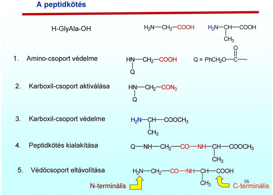 Karboxil-csoport aktiválása N 2 N 3 Q 3.