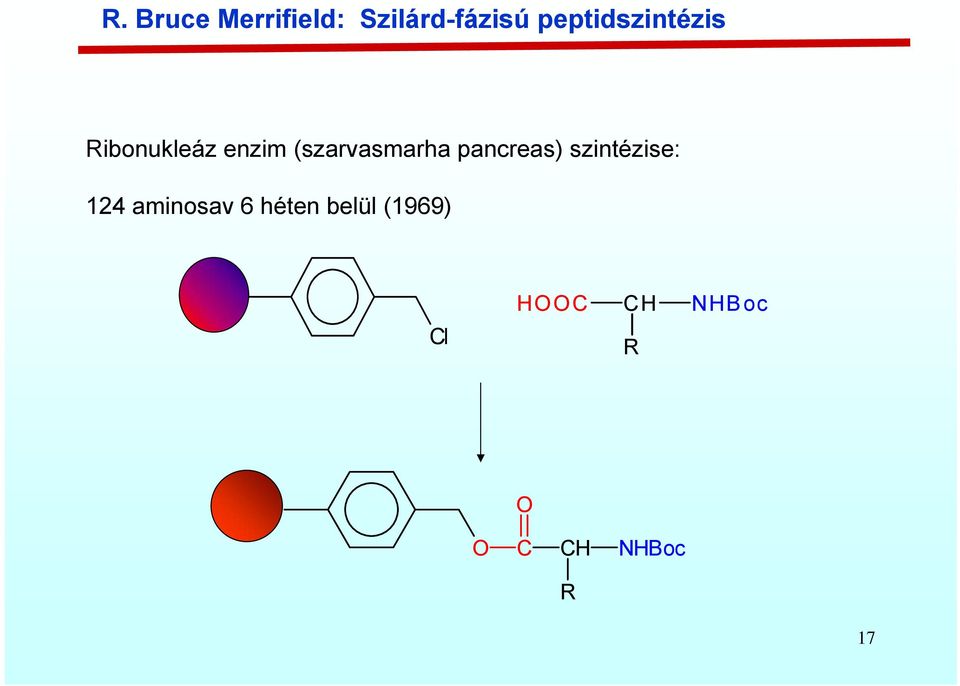 (szarvasmarha pancreas) szintézise: