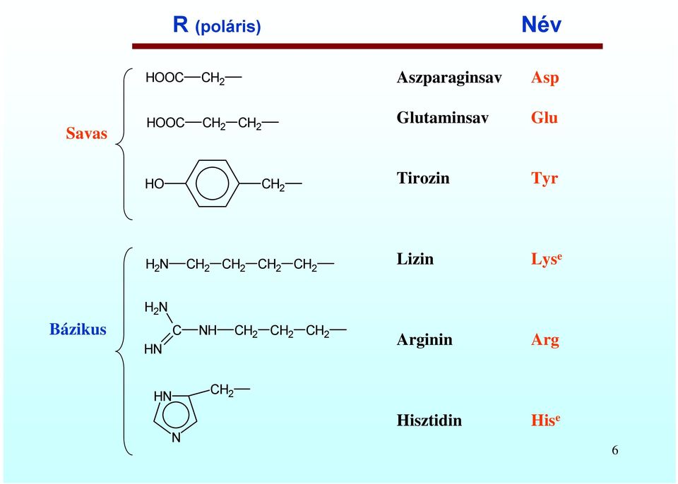 Tyr 2 N 2 2 2 2 Lizin Lys e Bázikus 2
