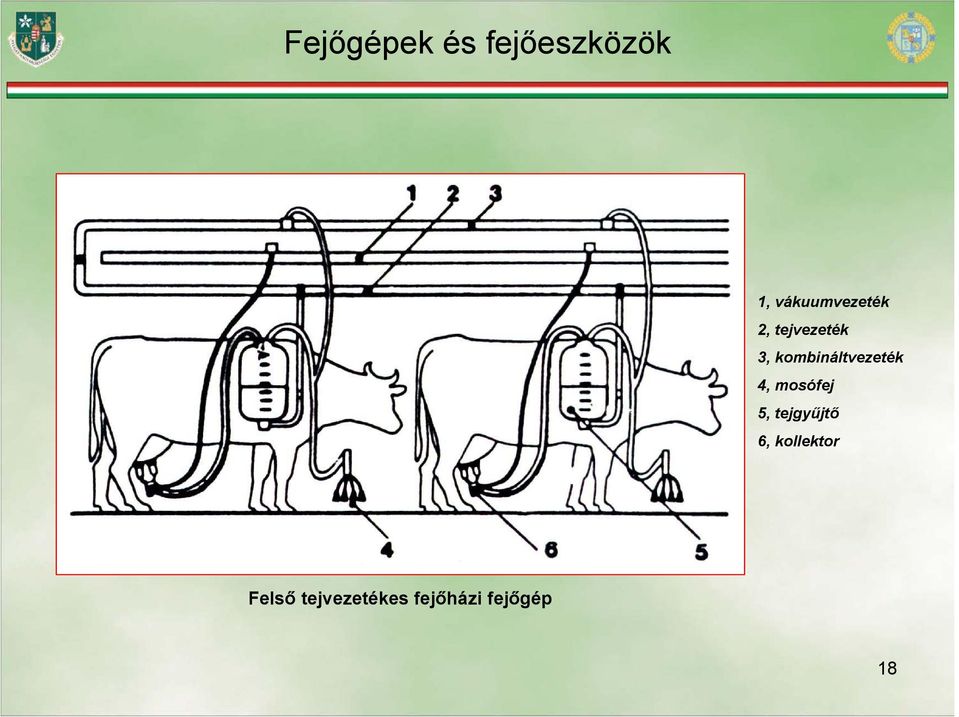 5, tejgyűjtő 6, kollektor Felső