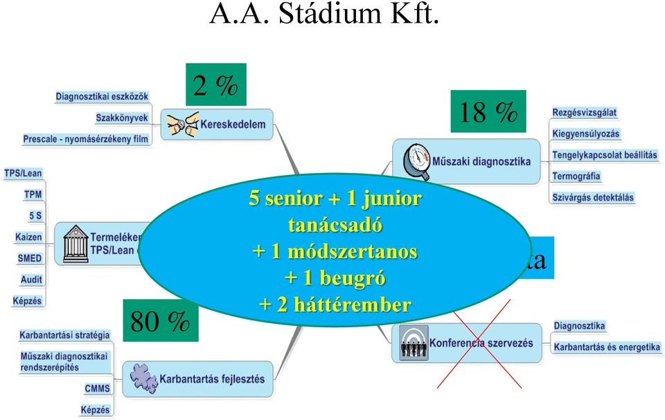 junior tanácsadó + 1