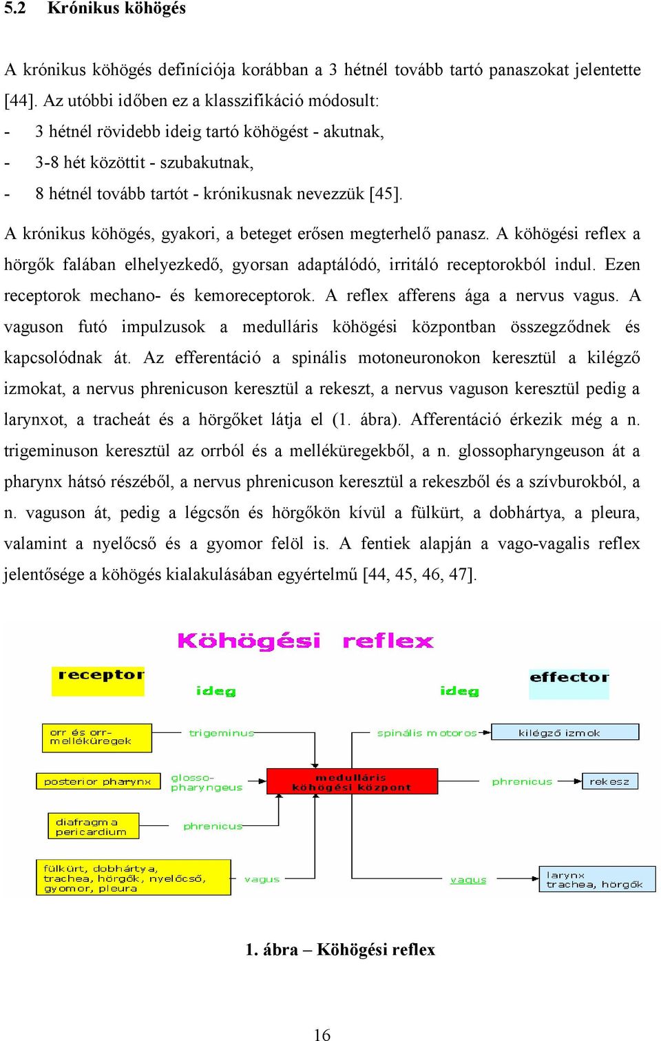 A krónikus köhögés, gyakori, a beteget erősen megterhelő panasz. A köhögési reflex a hörgők falában elhelyezkedő, gyorsan adaptálódó, irritáló receptorokból indul.