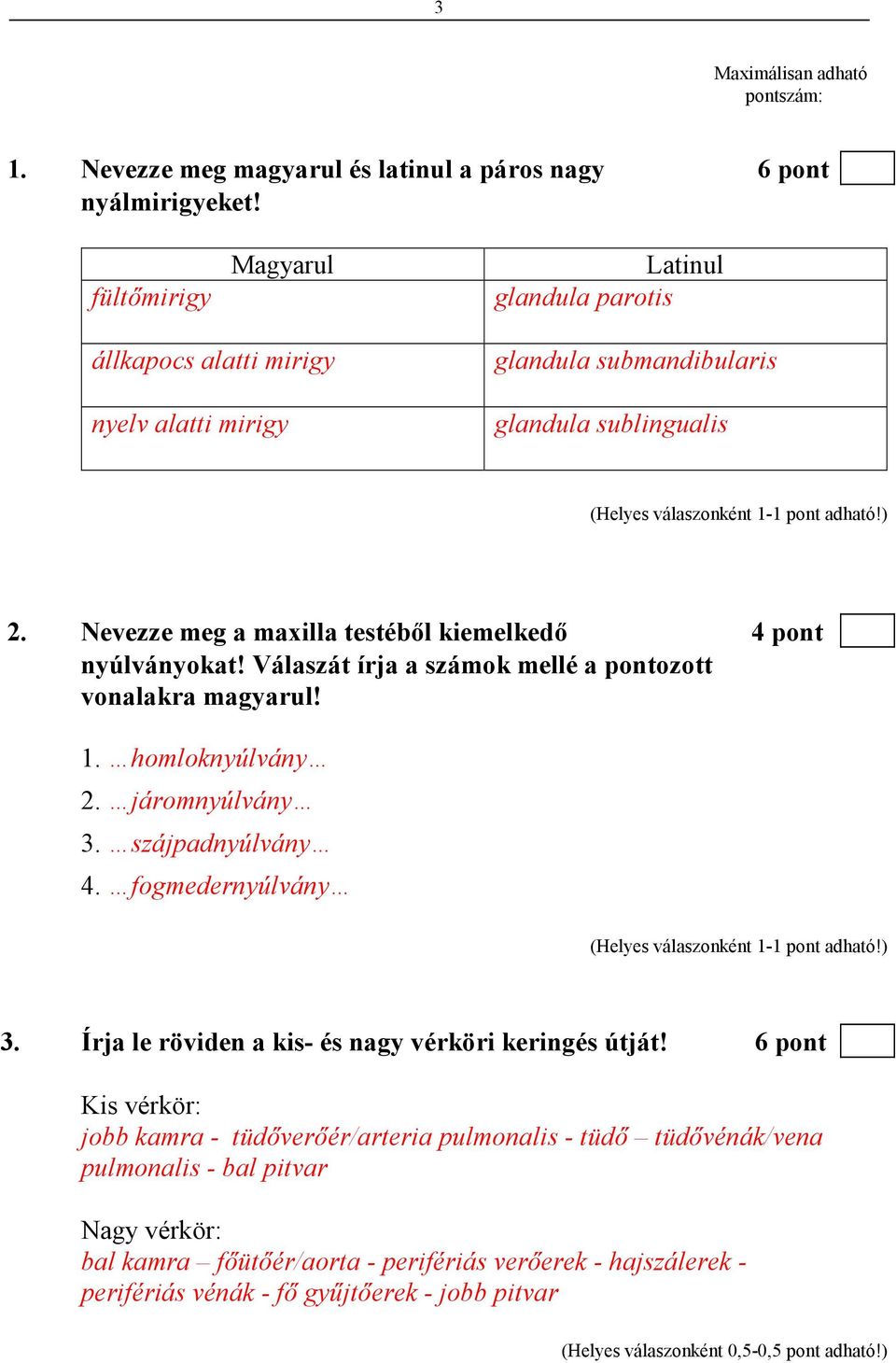 Nevezze meg a maxilla testébıl kiemelkedı 4 pont nyúlványokat! Válaszát írja a számok mellé a pontozott vonalakra magyarul! 1. homloknyúlvány 2. járomnyúlvány 3. szájpadnyúlvány 4.